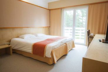 Улучшенный двухместный номер с 1 кроватью или 2 отдельными кроватями и балконом